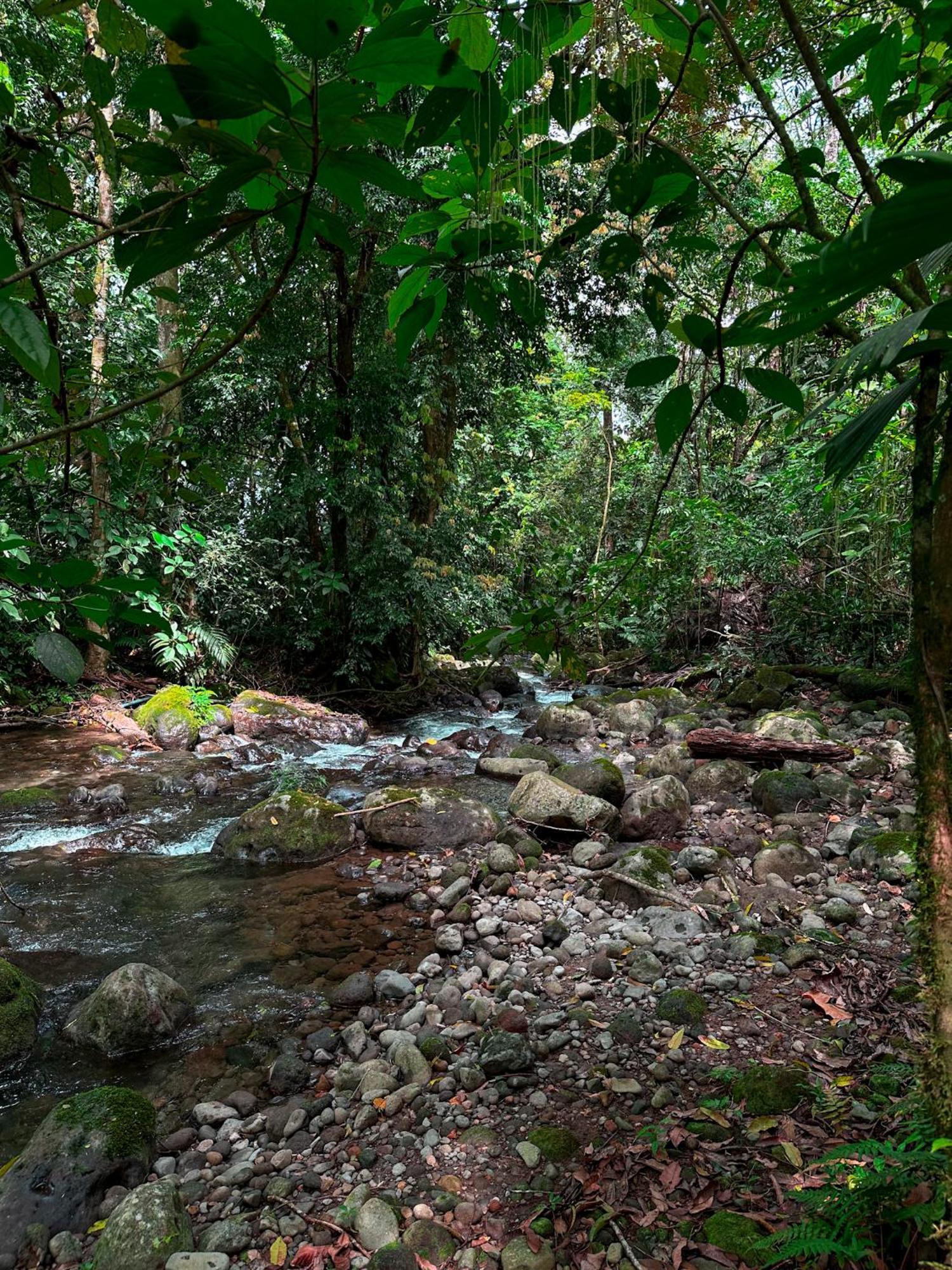 Cabanas Rio Escondido En La Fortuna Екстер'єр фото