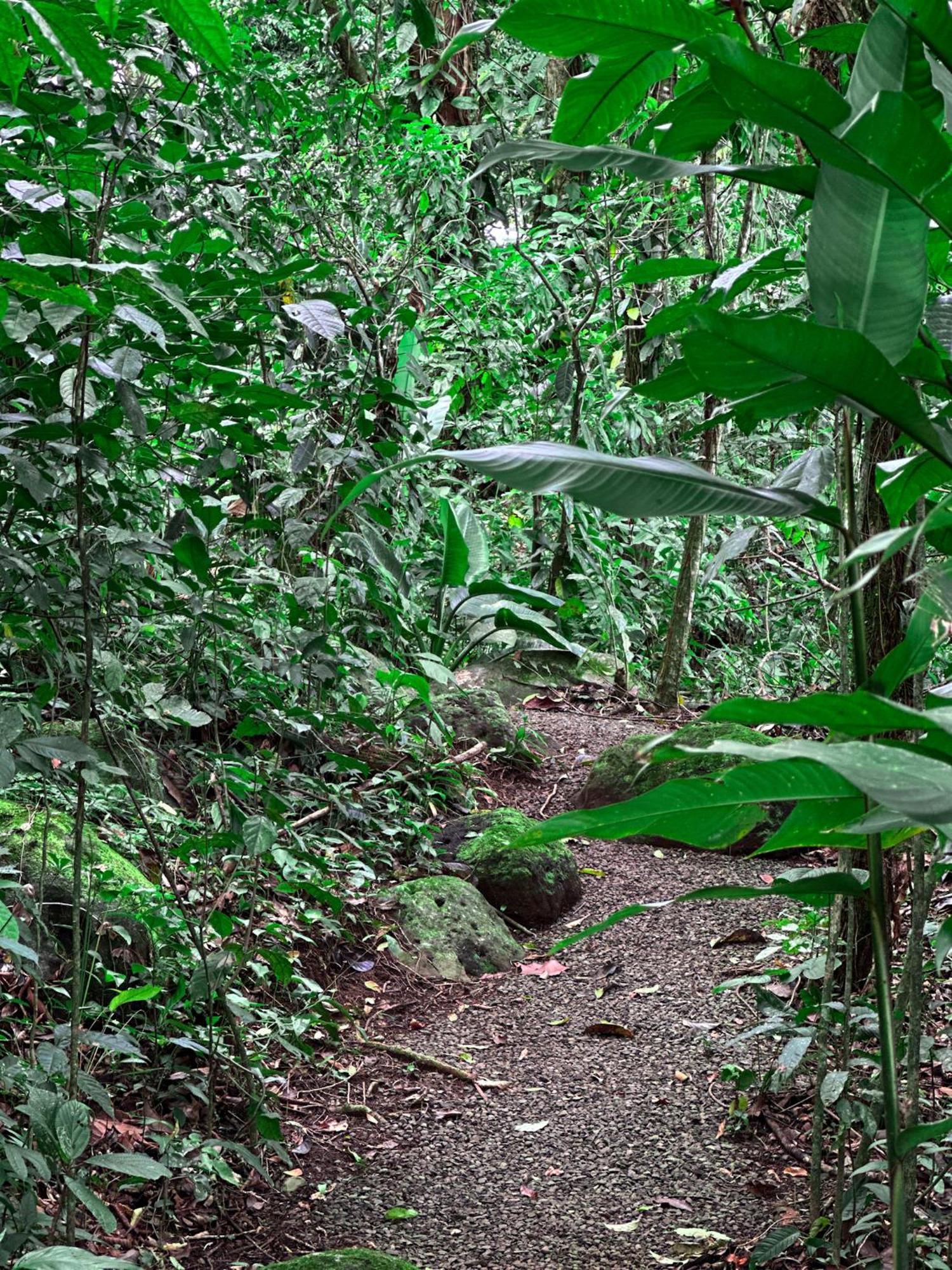 Cabanas Rio Escondido En La Fortuna Екстер'єр фото